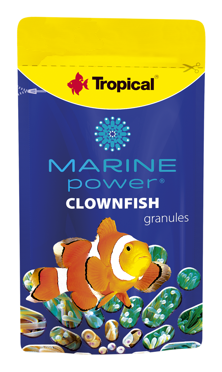Marine Power Clownfish
