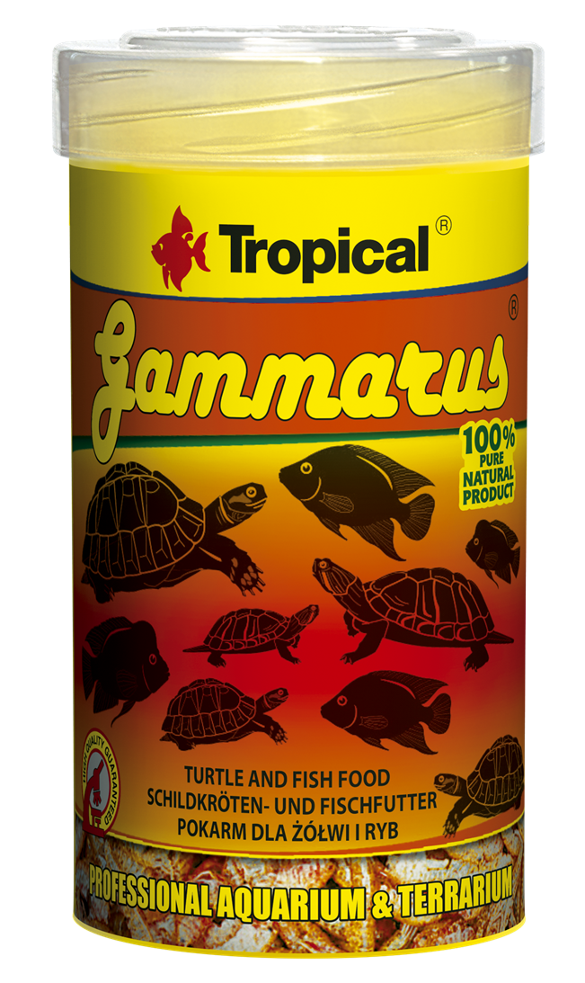 Gammarus