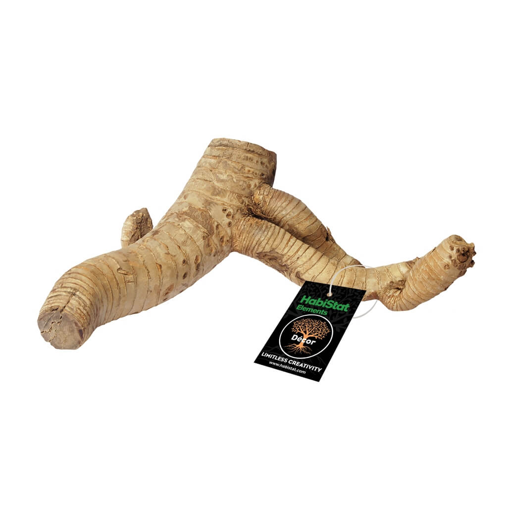Bamboo Root