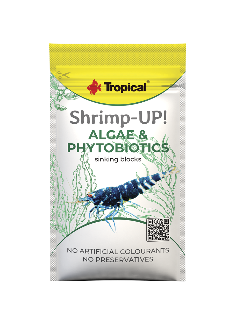 Shrimp-Up!