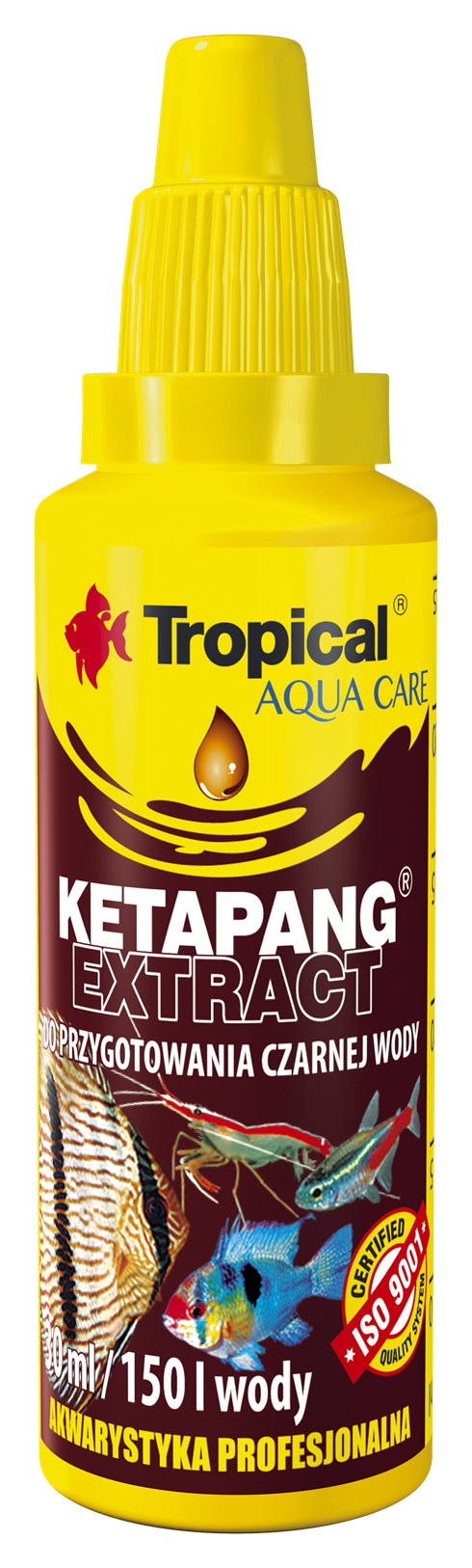 Ketapang Extract