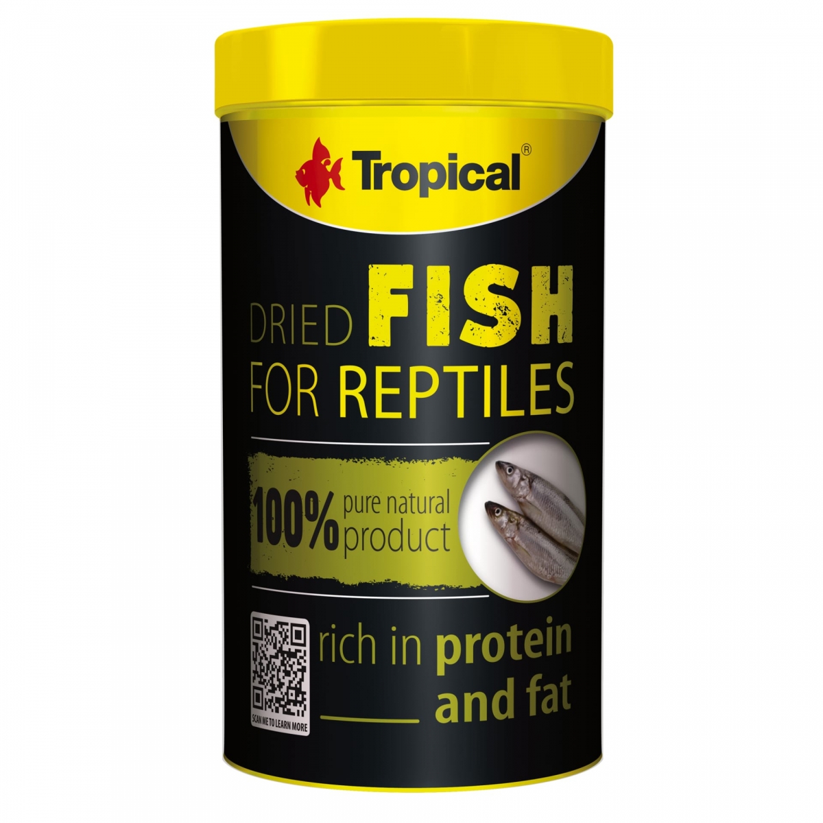 Dried-Fish
