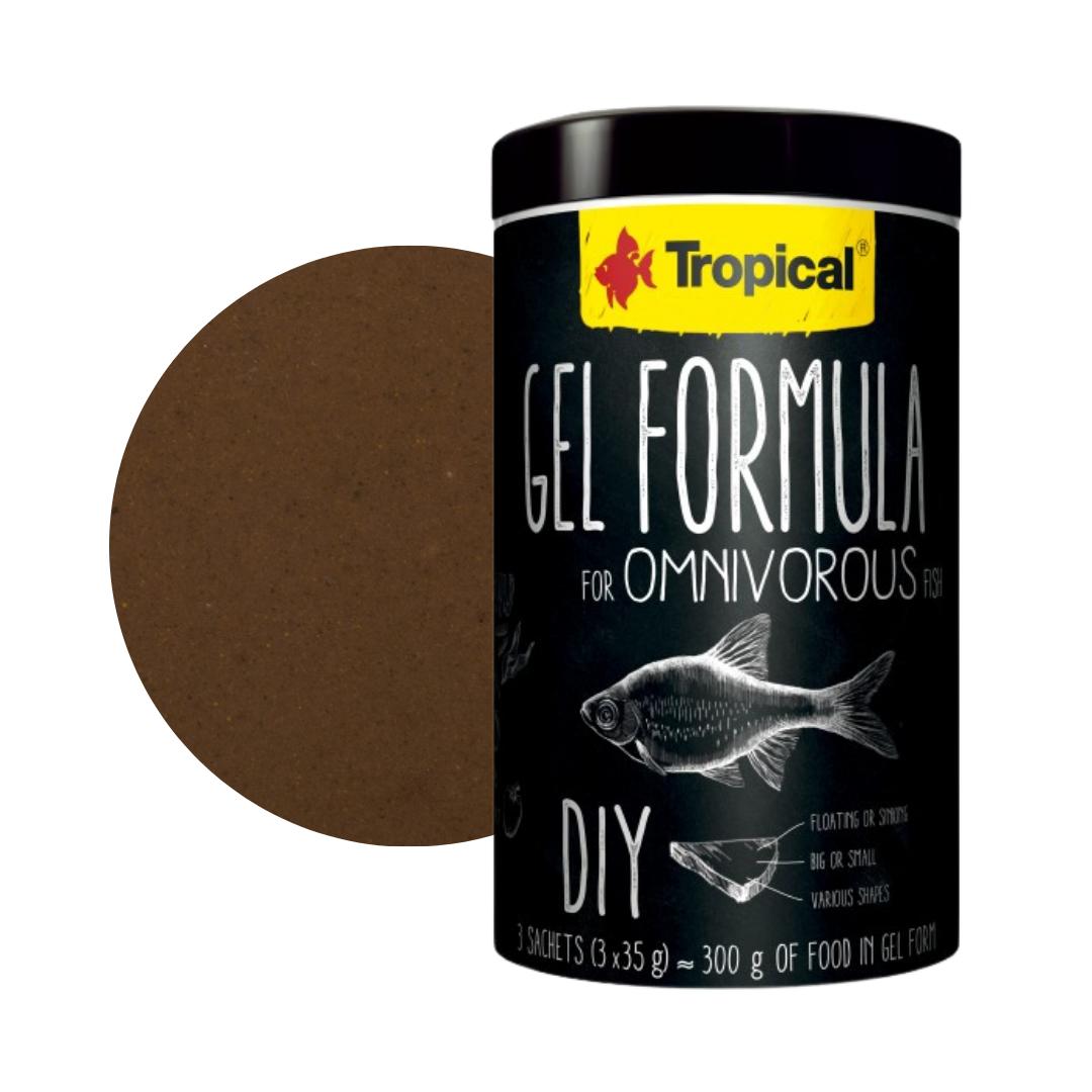 Gel Formula Omnivorous (DIY - Do it yourself Futtergelee)