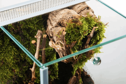 Terrarium SPIDER -alte Version-