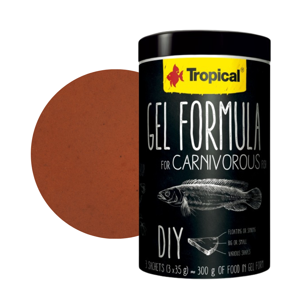 Gel Formula Carnivorous (DIY - Do it yourself Futtergelee)