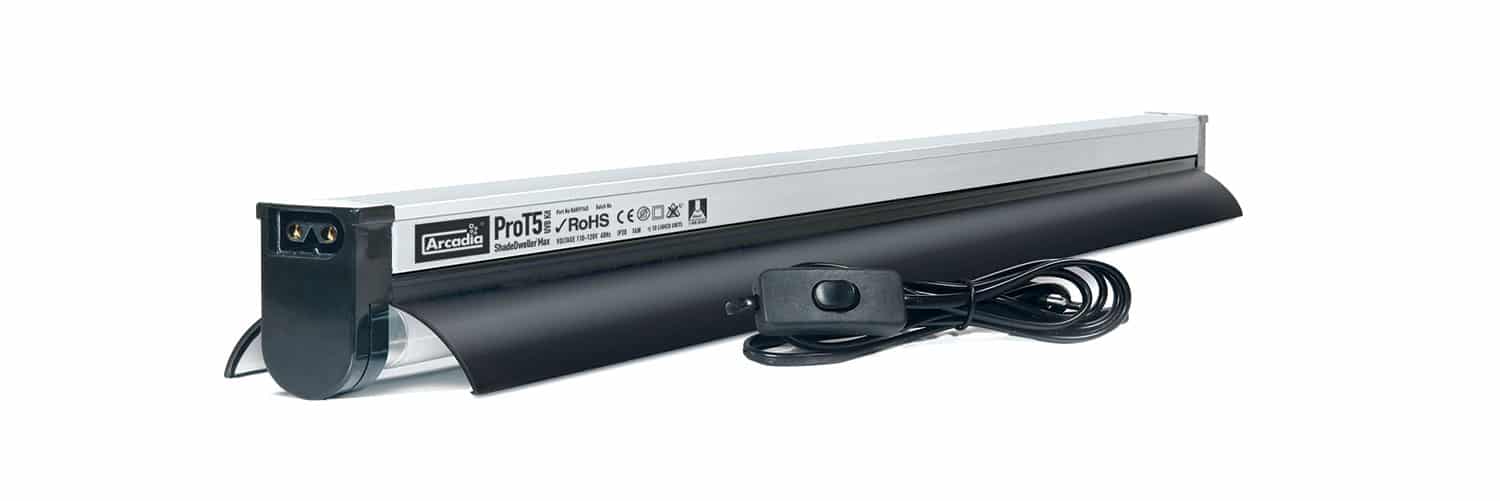 RARTP14S-prot5-003