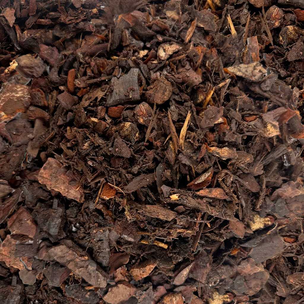 Orchid Bark
