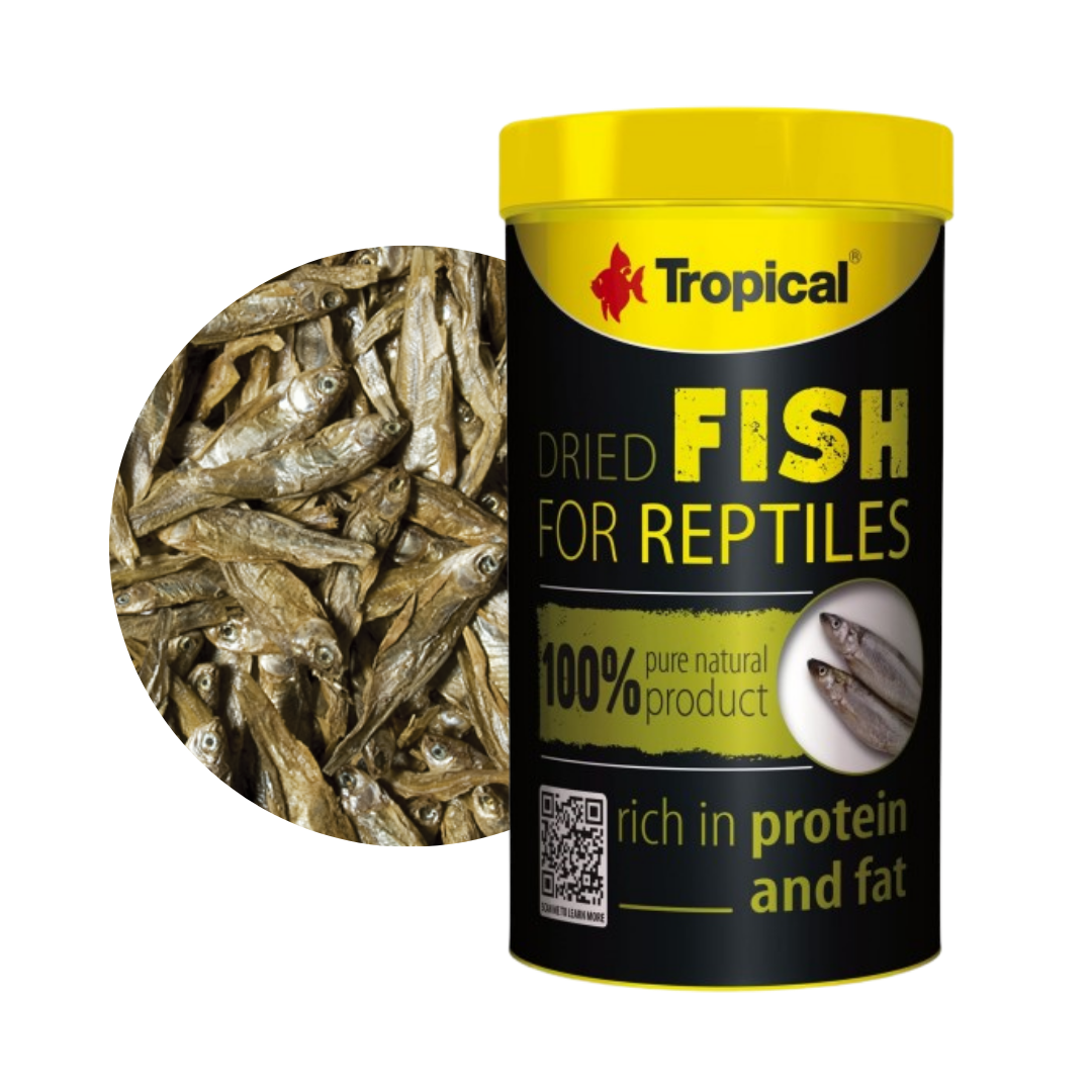 Dried Fish