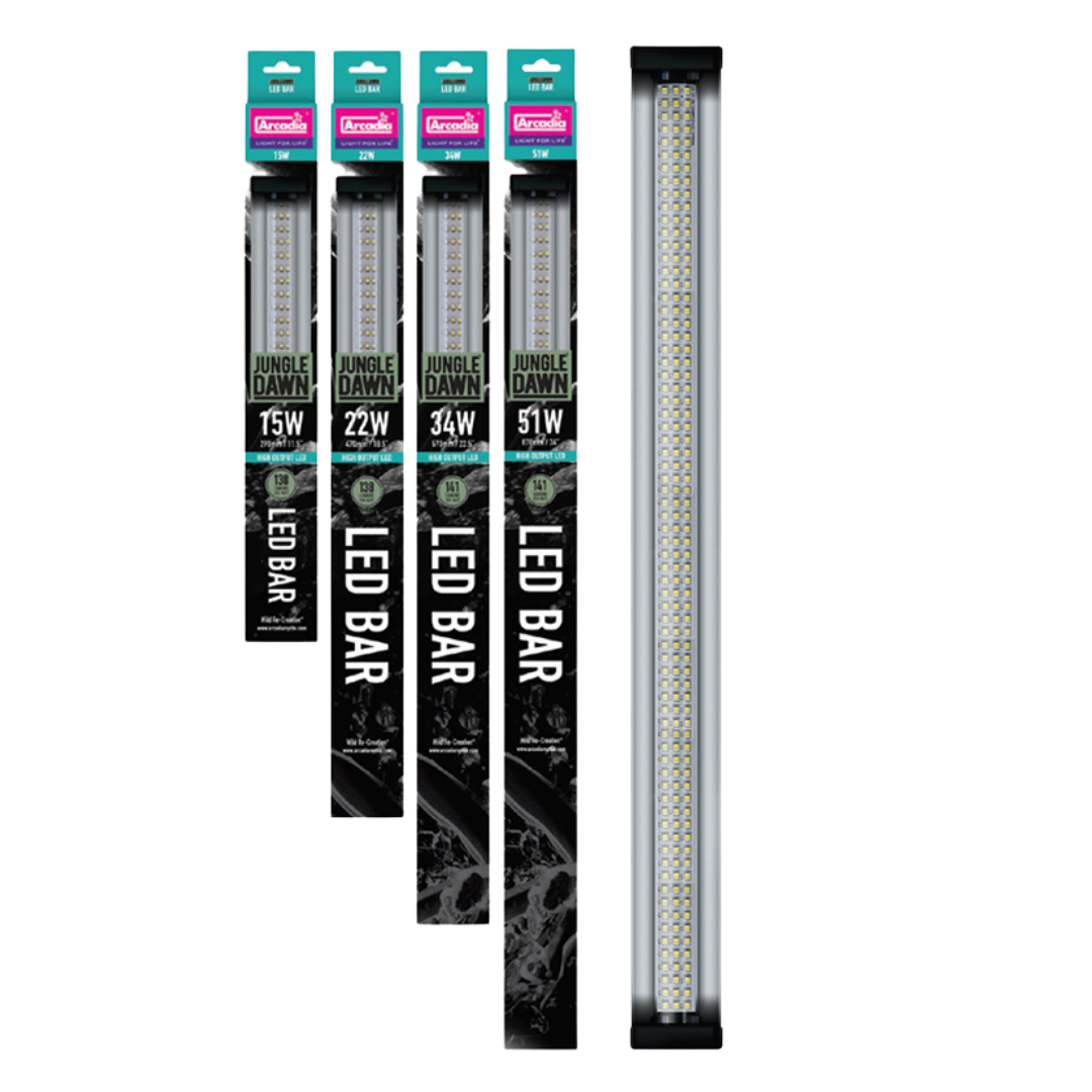 Arcadia LumenIZE Jungle Dawn LED Bar