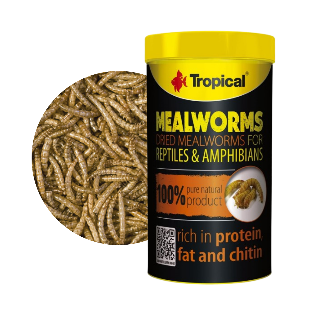 Mealworms