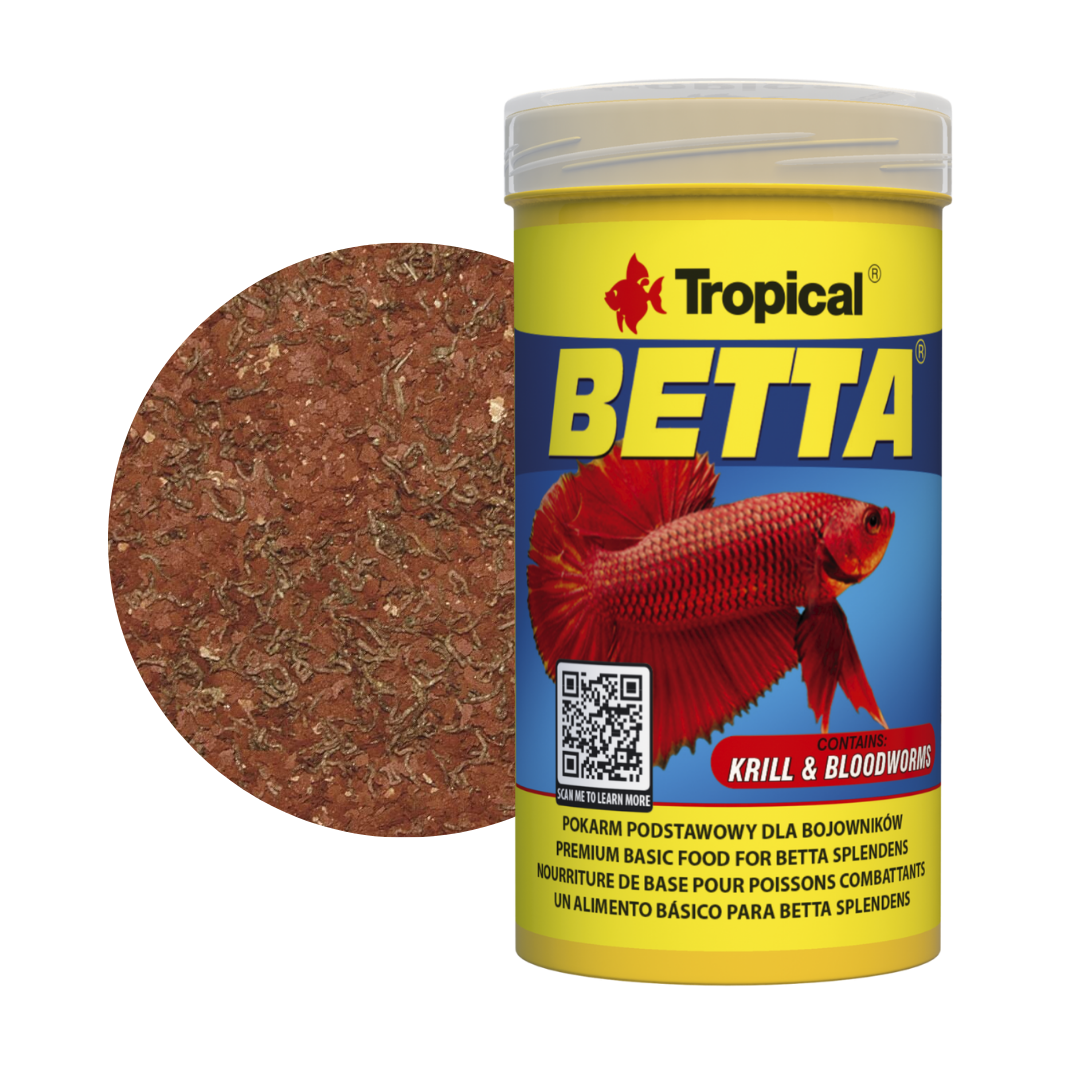 BETTA BETTA