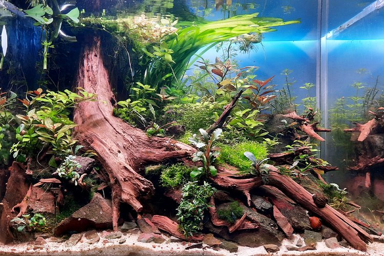 csm_myScape-Seiryu_Rocks_Aufbau2_ac151b9320