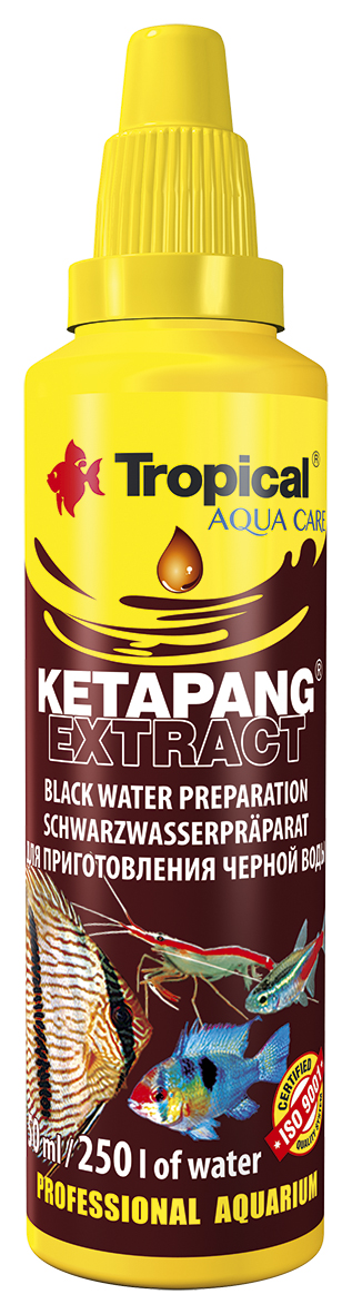 Ketapang Extract