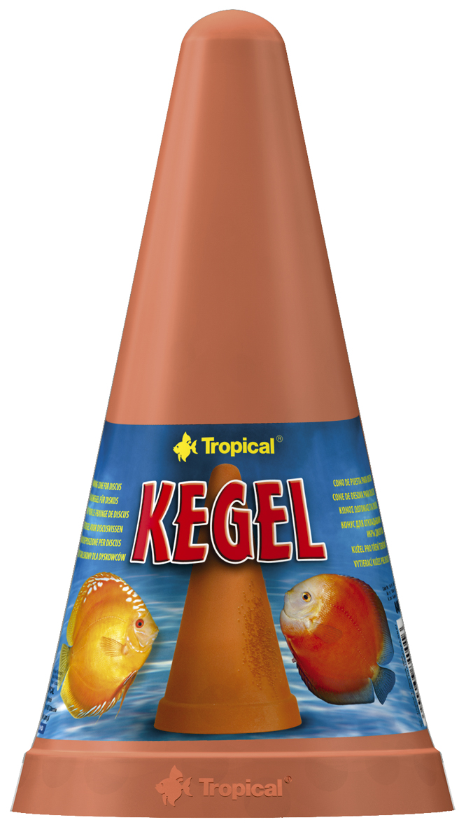 Laichkegel