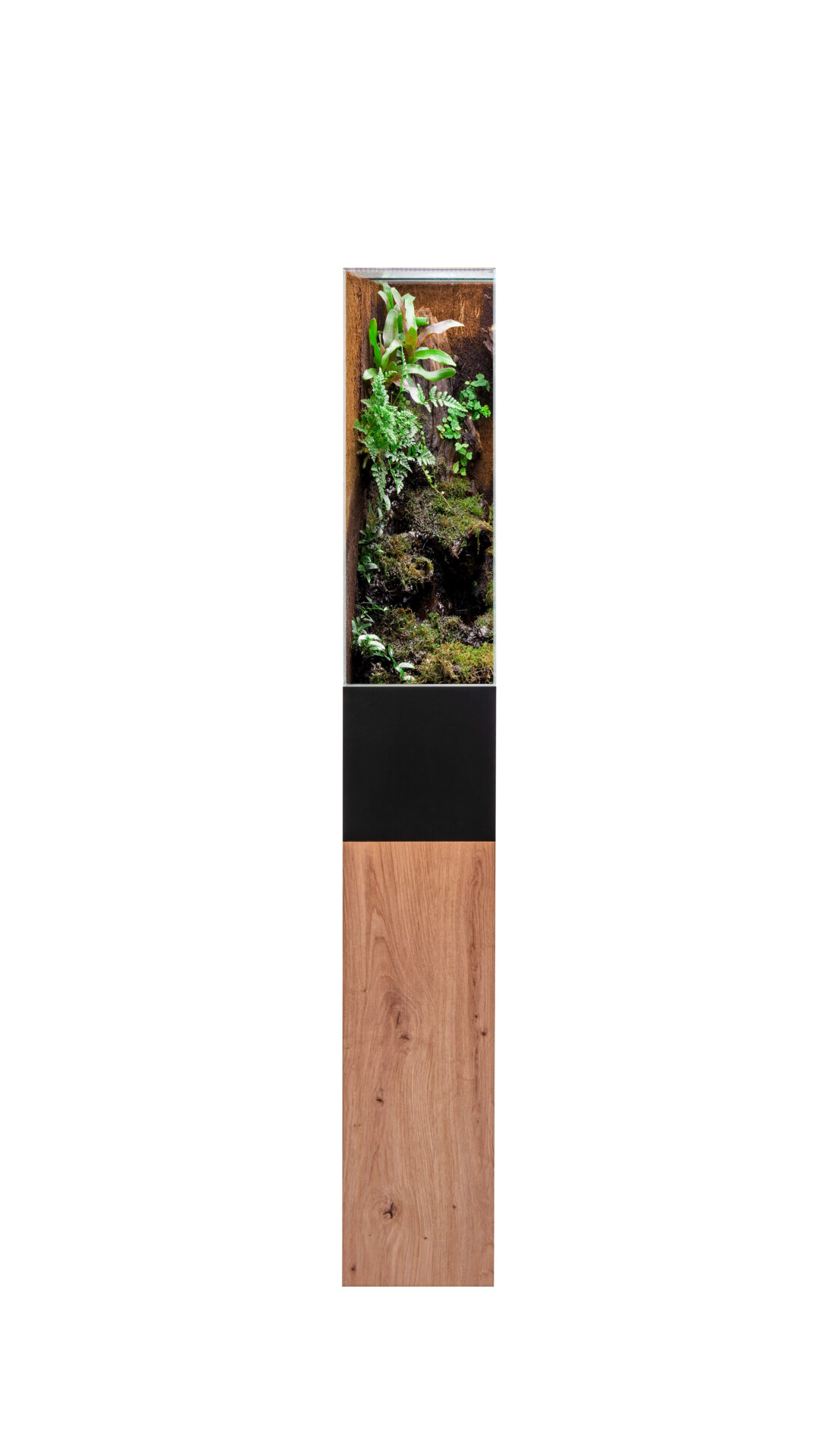 terrarium-modl-1a-copy_309