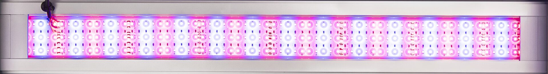 LED Alex Color