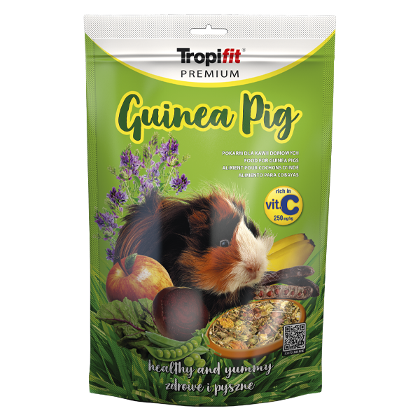 Premium Guinea Pig