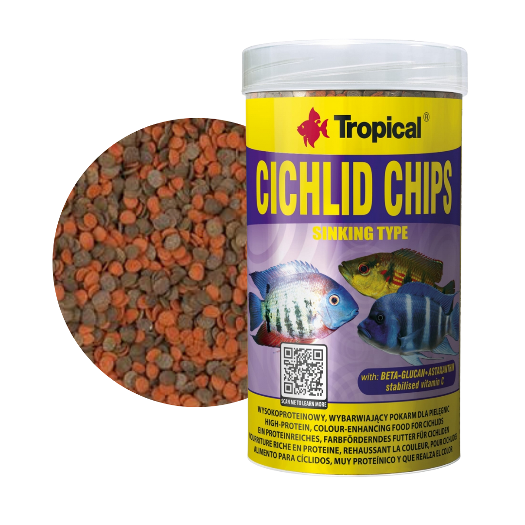 Cichlid Chips