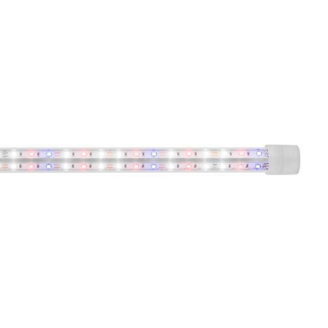 LED Expert Color