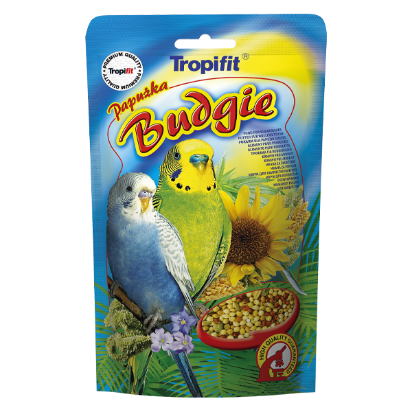 Budgie