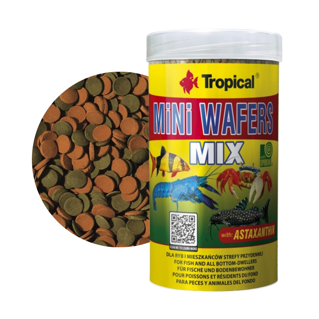 Mini Wafers MIX