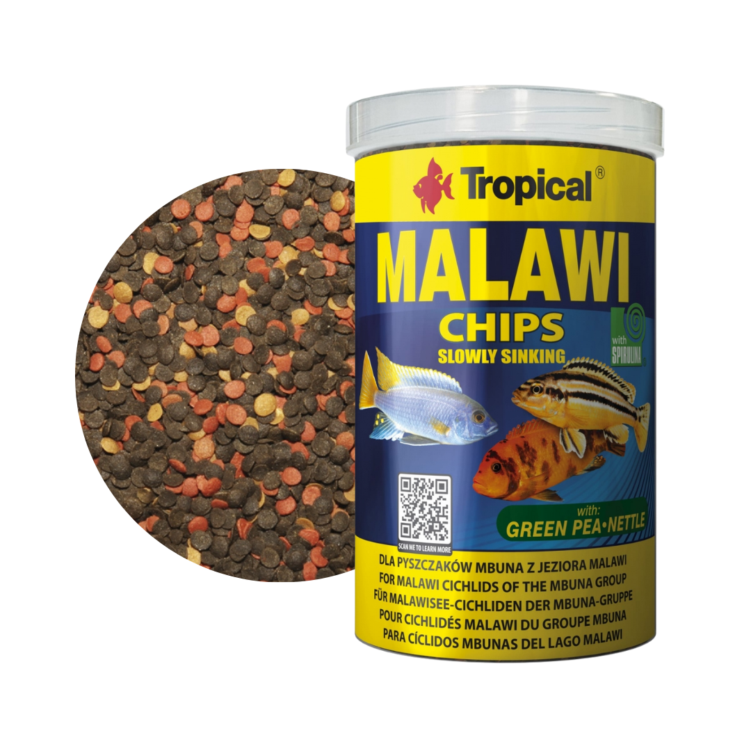 Malawi Chips