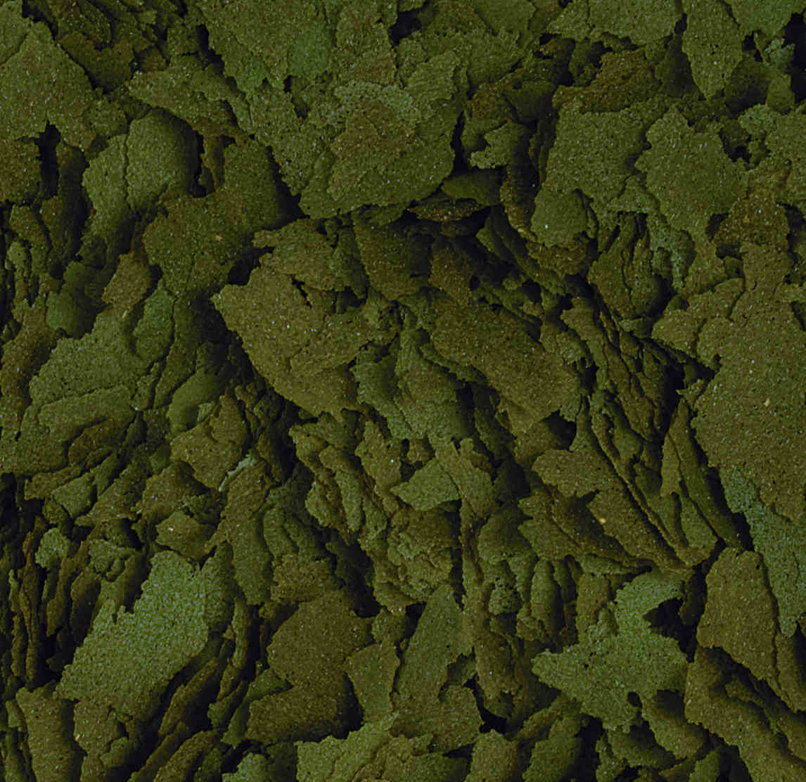 spirulina-20flakes-96100-25