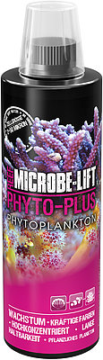 PHYTO-PLUS - Phytoplankton