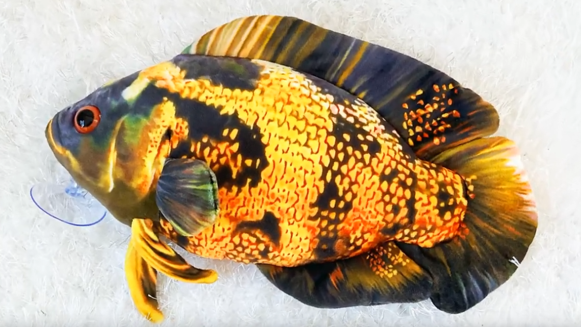 GreenPleco - Oscar fish yellow