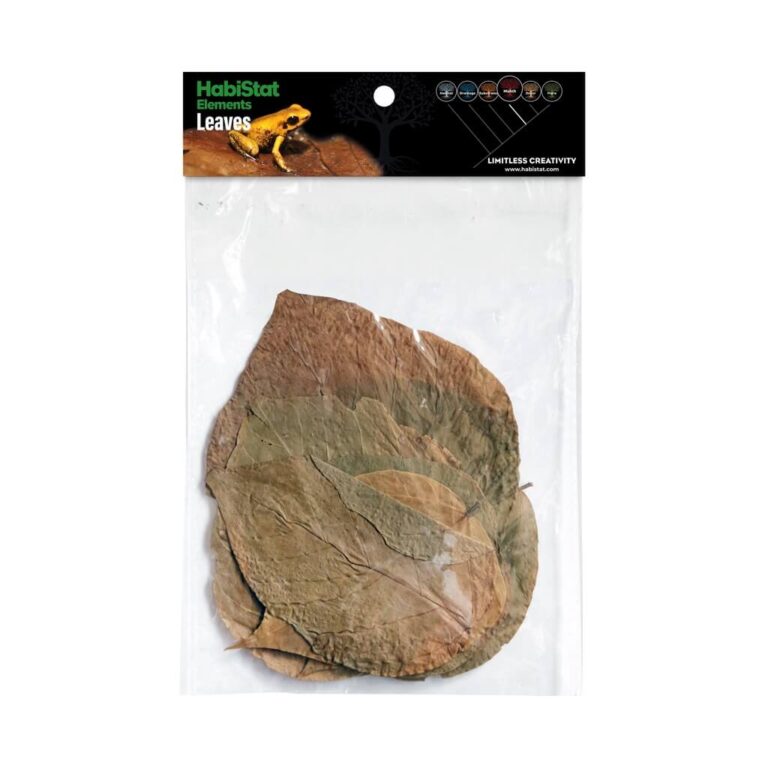 Dadap Leaves, 10er Pack