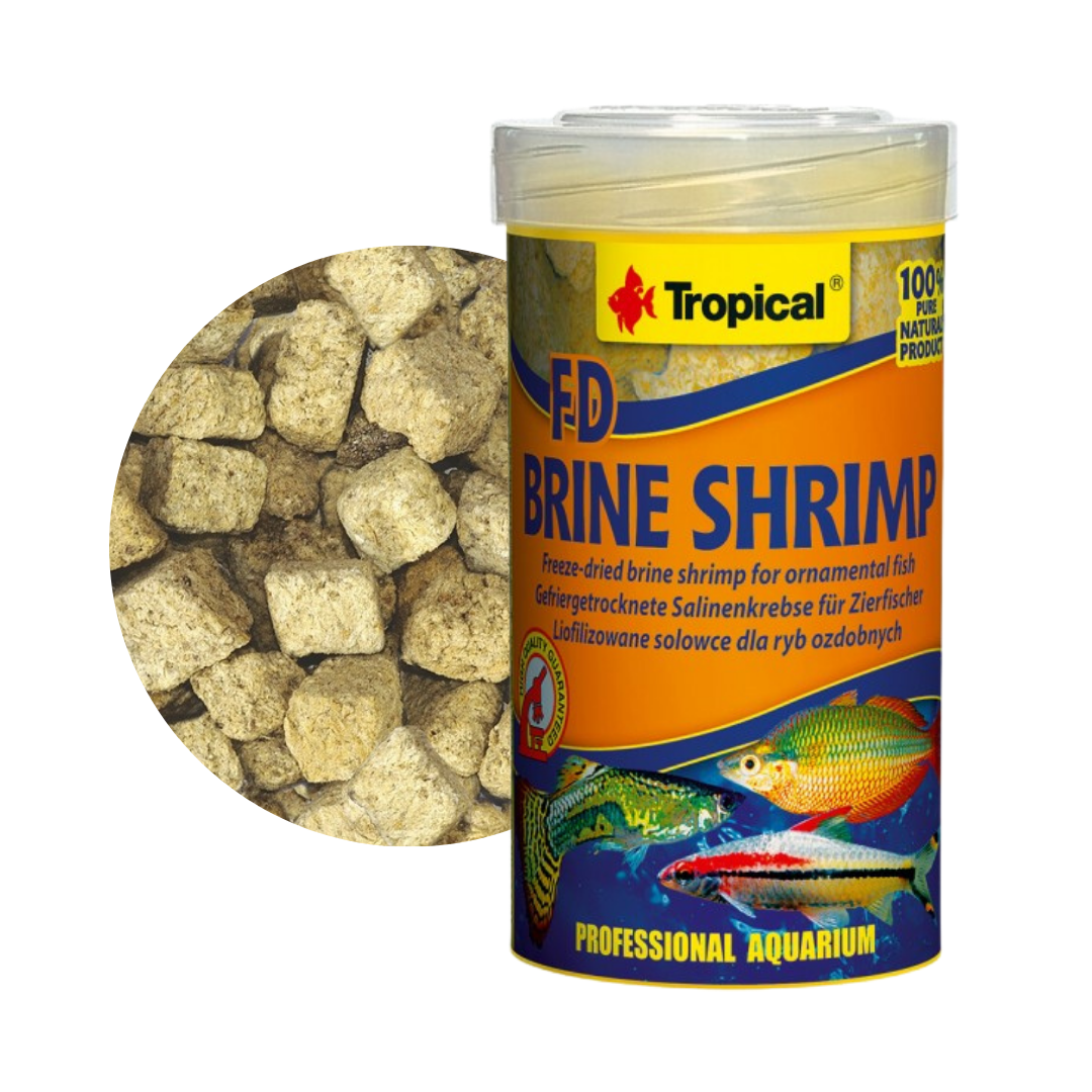 FD Brine Shrimp