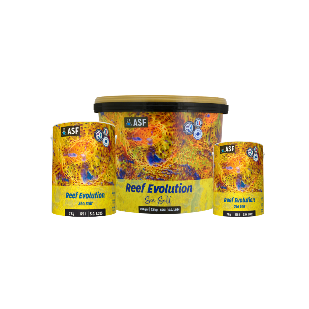Reef Evolution Meersalz