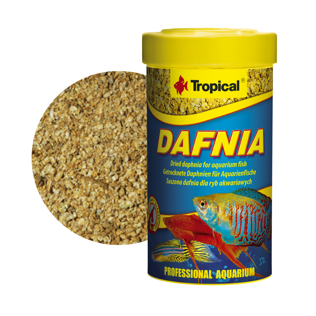 Dafnia Dafnia