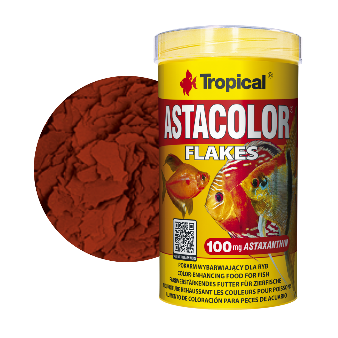 Astacolor