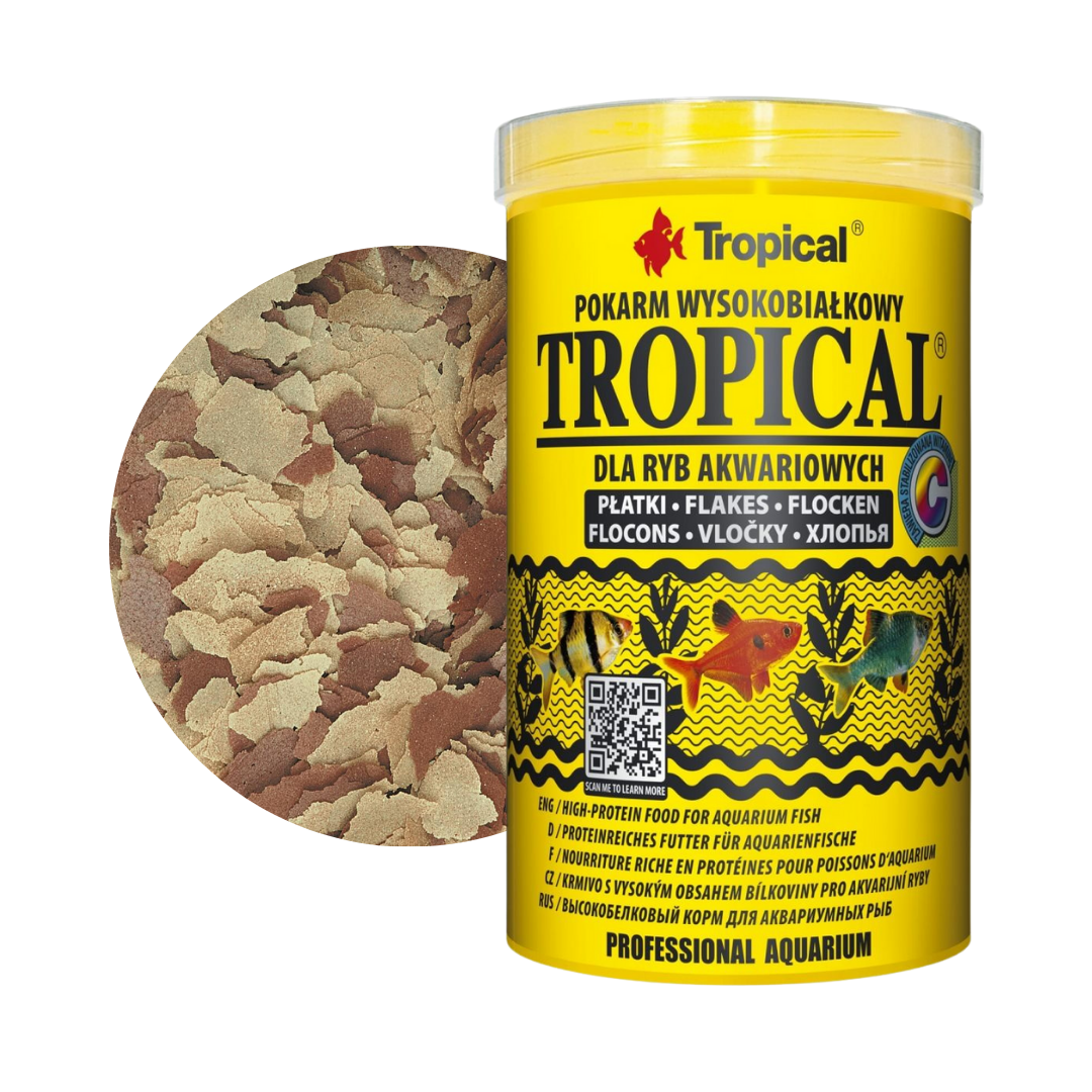 Tropical Tropical