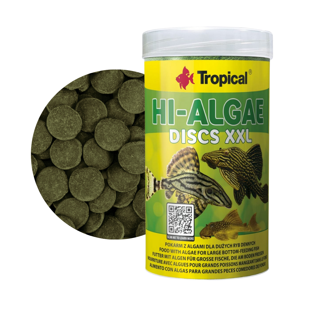 Algae Discs Tropical Hi-Algae Discs