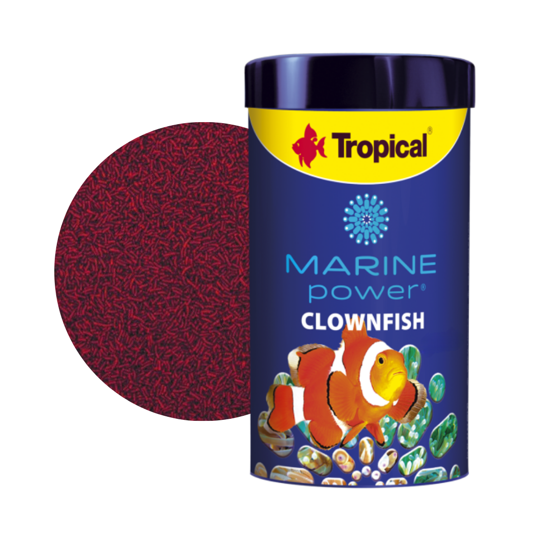 Marine Power Clownfish