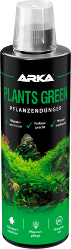 Plants Green