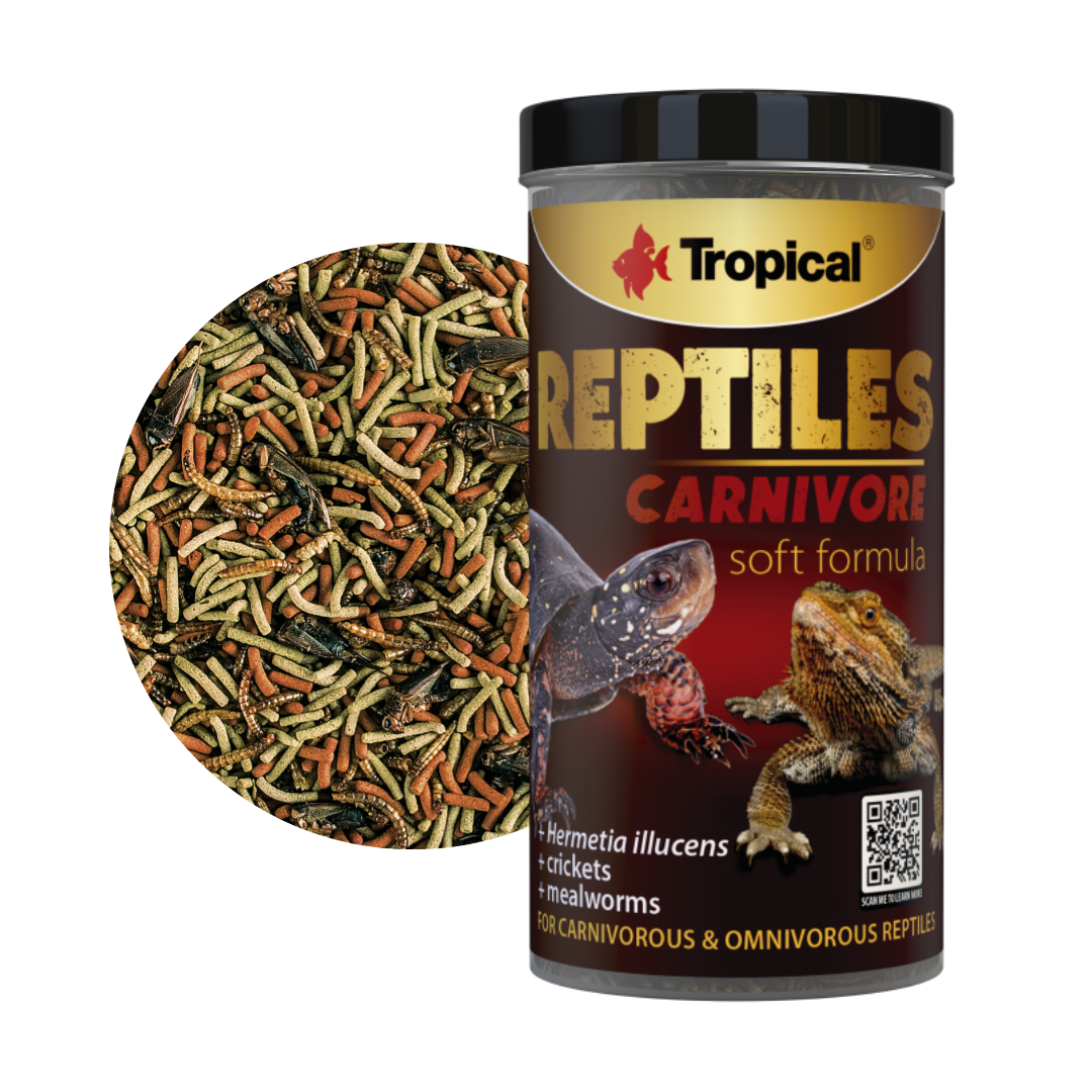 Reptiles Carnivore Soft Formula